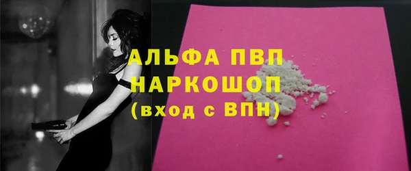 стафф Алексин