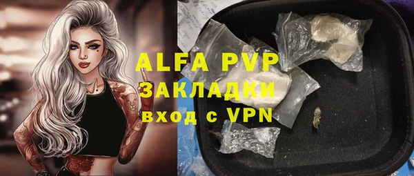 стафф Алексин
