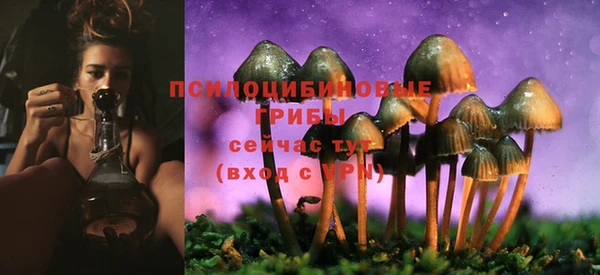стафф Алексин